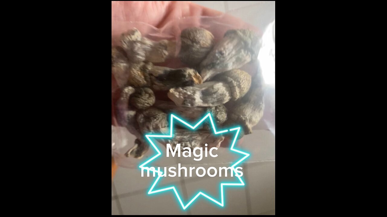 Magic mushrooms 🍄