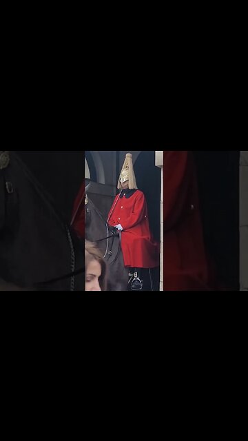 Don't touch the Reins #horseguardsparade