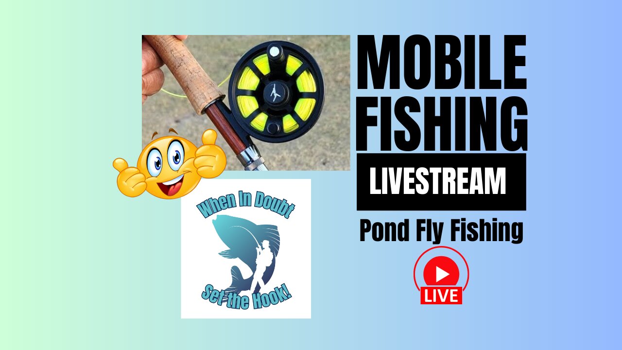 Pond Fly Fishing - Foam Grasshopper - Mobile Fishing (Edited) #mobile #fishingreel #livestream