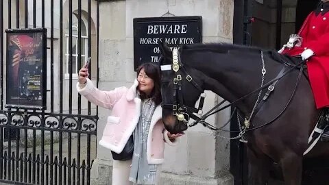 He wants my jacket #horseguardsparade