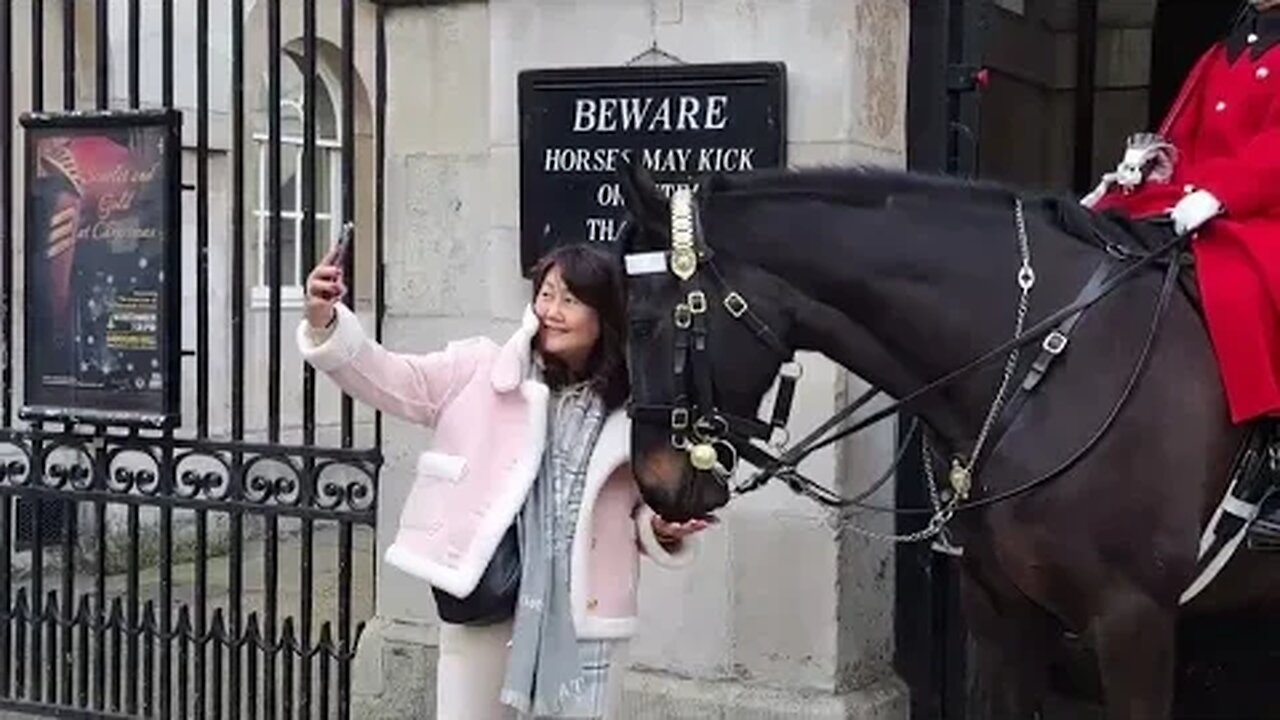 He wants my jacket #horseguardsparade