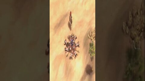 Nani | Age of Empires II Definitive Edition