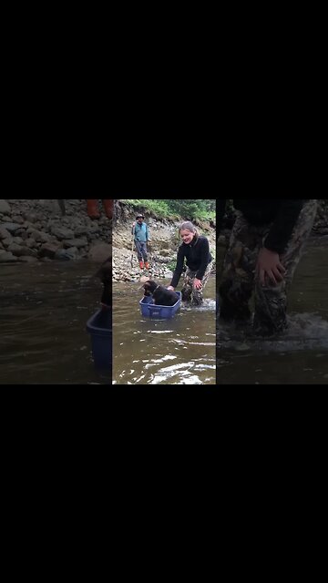 Puppy In A Bucket #shorts