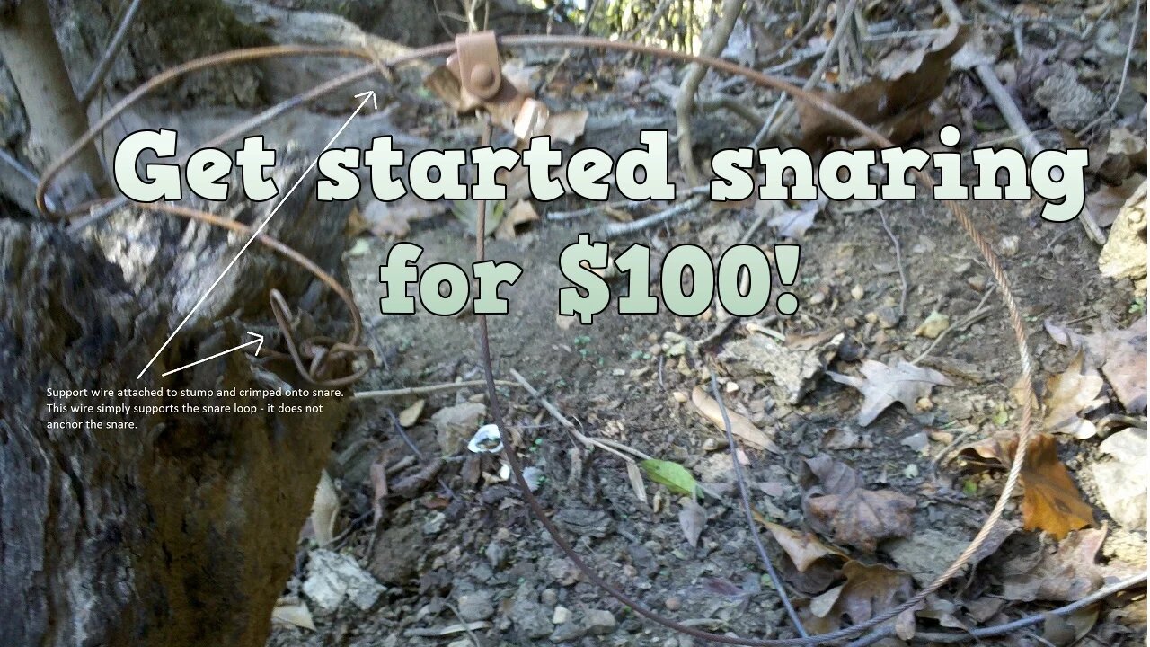 How To Get Started Snaring for $100