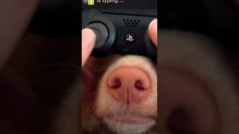 (WOW must watch )That pink thumbstick tho 🐽 #shorts #viral #funny #funnydogs