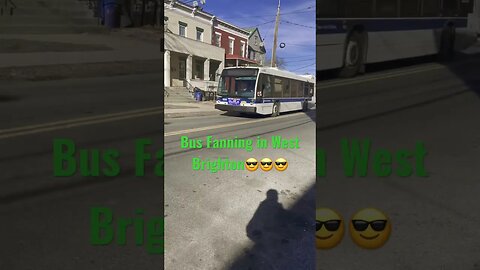 Bus Fanning in West Brighton😎😎😎 #2023