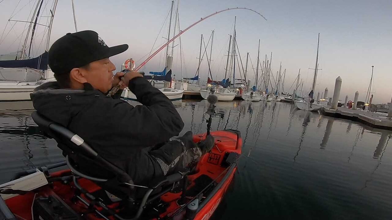 PITCHING / FLIPPING DOCKS at night | Warbaits Swimjig fishing