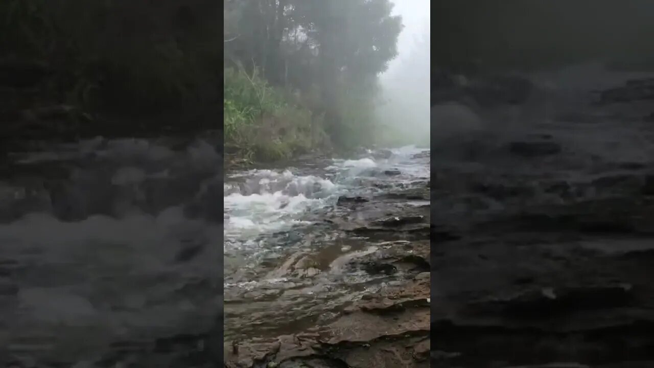 Soothing river. #calming #river