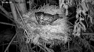 Ellie Arrives After Dinner 🦉 02/06/23 23:54