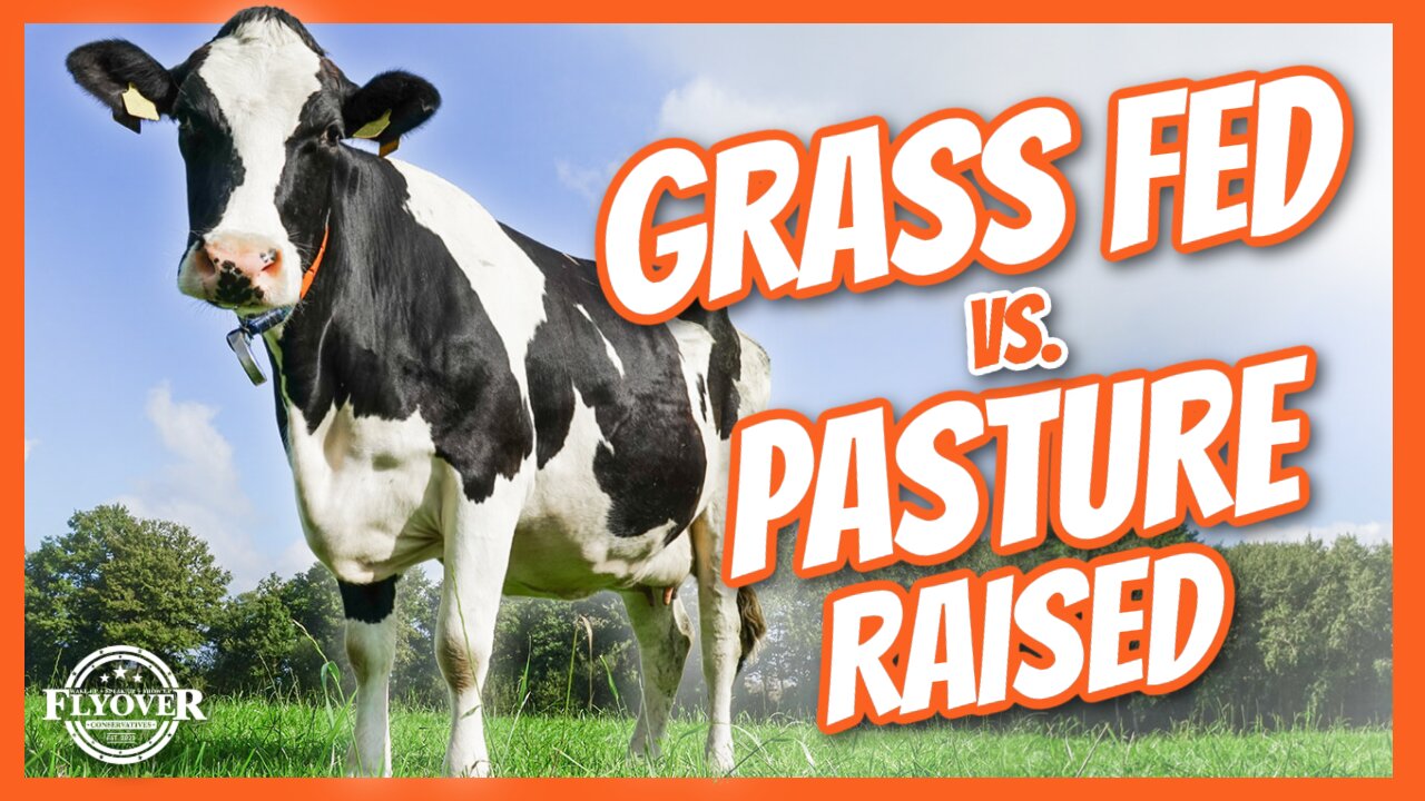 WHICH IS BETTER: Grass Fed or Pasture Raised Beef - Jeremiah and Amy Harris