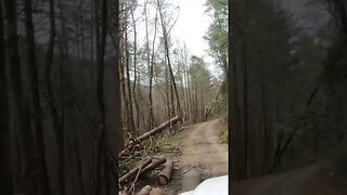 Toyota Tundra TRP Pro in Cohutta Wilderness