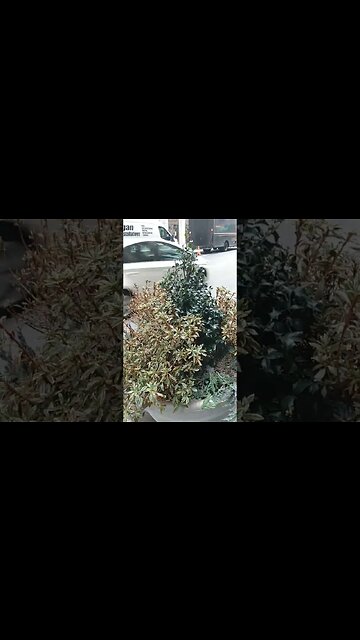 BAM! $5 mil legally owed to me. more to story, but the 1 & first night I was away 4 ripped off wall.