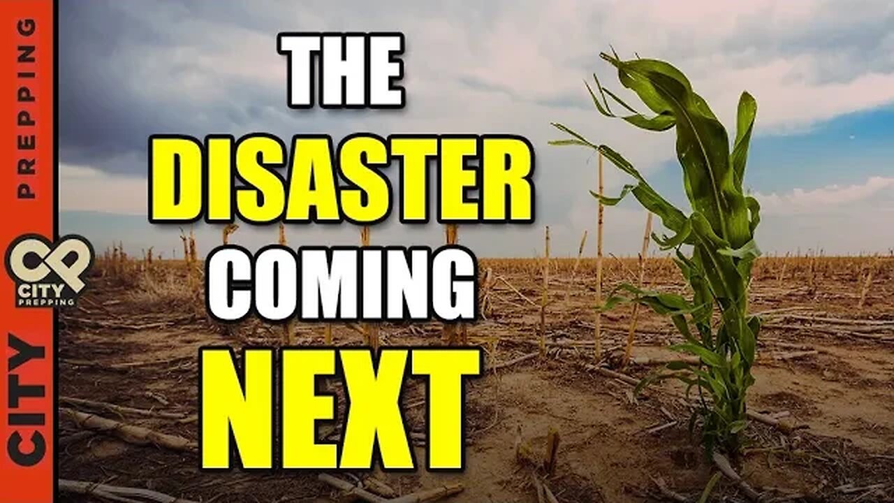 I’m Afraid We’re Going to Have a Food Crisis Shortly