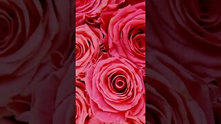 MusicPay24.com. We compose songs (instrumental) for you.Order, buy, sell or give away.Inexpensive