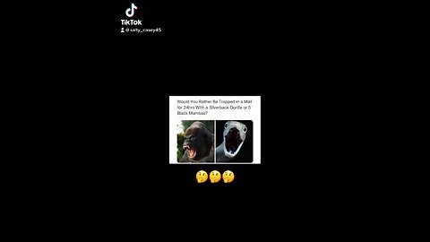 🤔🤔🤔🤔