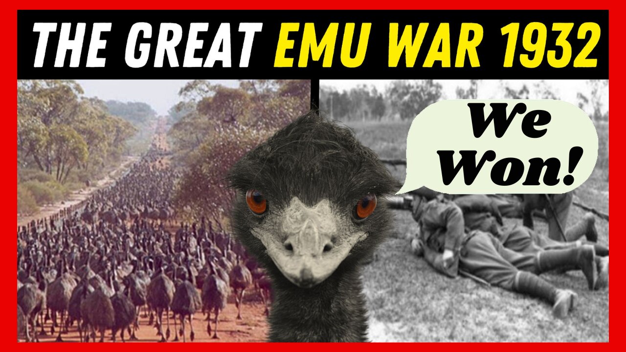 The Great Emu War of 1932