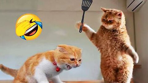 Funniest Animals 2023 😂 New Funny Cats and Dogs Videos 😻🐶