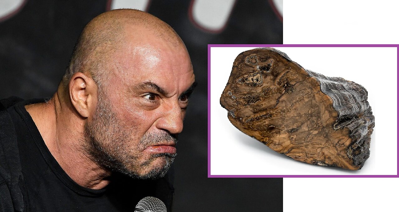 Joe Rogan Reacts to eating 20,000 old mammoth stake