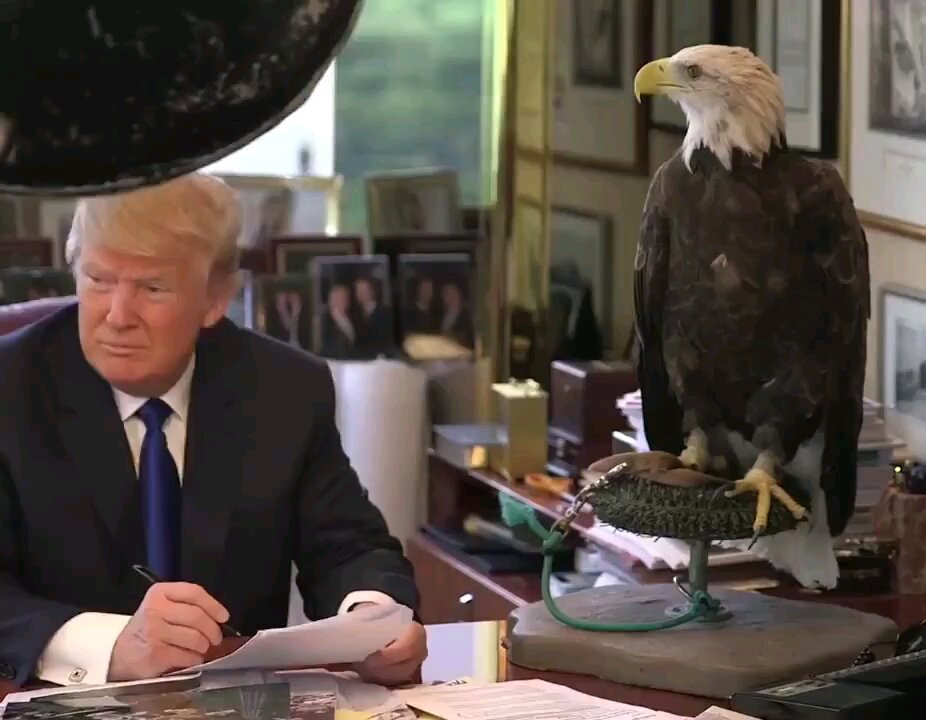 Trump's Bizarre Bald Eagle Photo Shoot