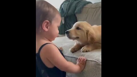 DOGS - MEN'S BEST FRIEND - FREQUENCY IS LOVE and DOGS are pur unconditional LOVE