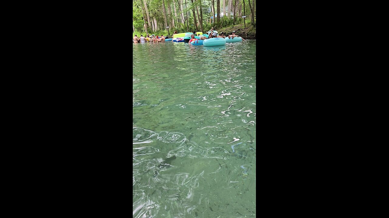 Ginnie springs fl