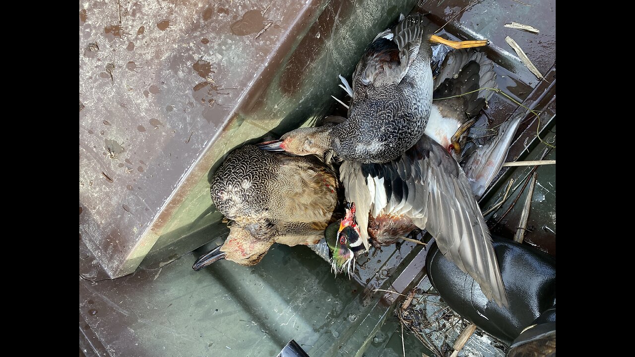 Arkansas Duck Hunting