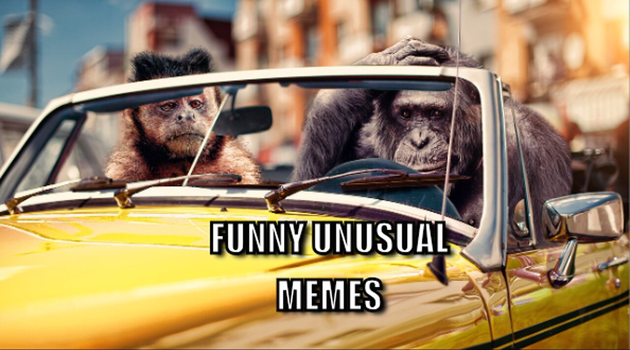 7 Minutes Of Funny And Unusual Memes!