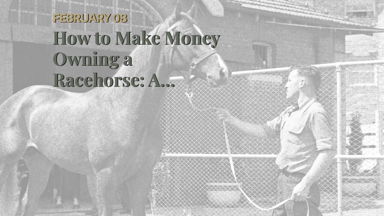 How to Make Money Owning a Racehorse: A Beginners Guide