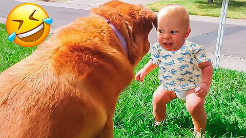 best and funniest pets 2023