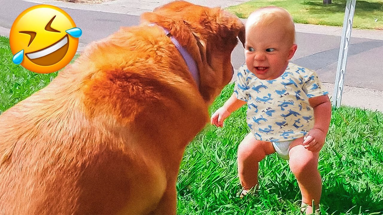 best and funniest pets 2023