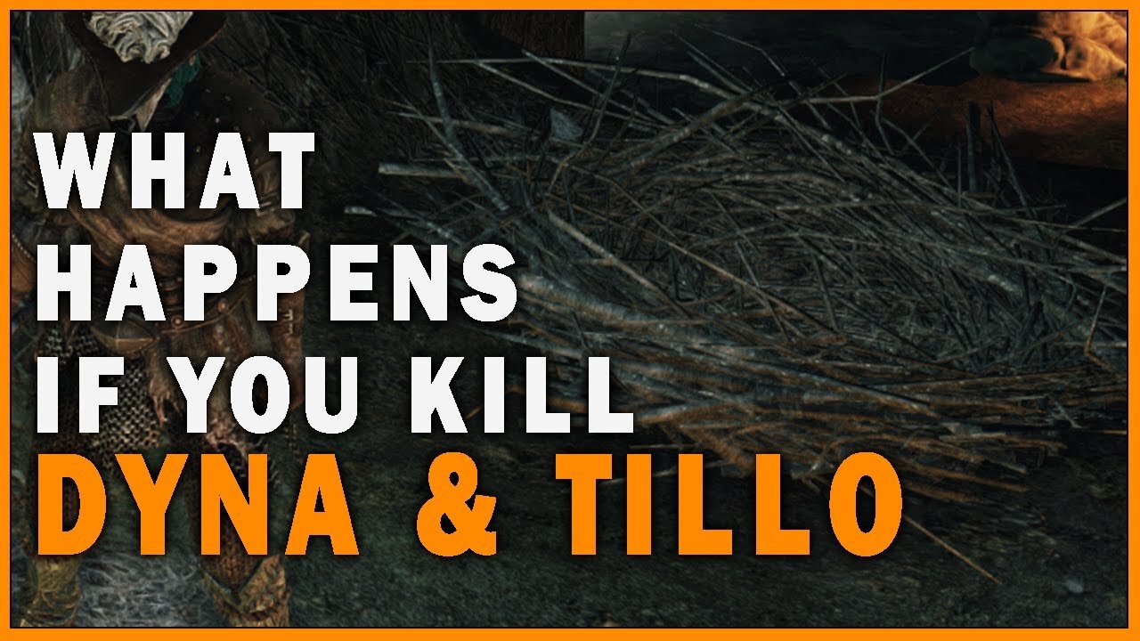 Trying to Kill Dyna & Tillo in Dark Souls 2