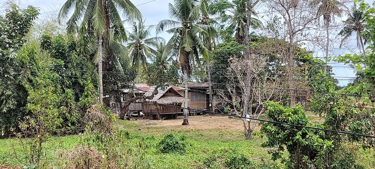 #Beech in Panglao area