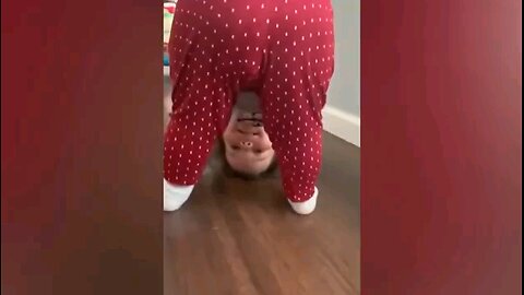 Howling with Laughter: The Wacky Adventures of Silly Kids 🧒🏻👧🏻👶🏻👶🏻👶🏻🚼🤣