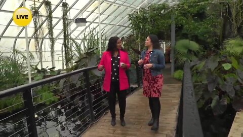 Escape winter and visit The Buffalo and Erie County Botanical Gardens