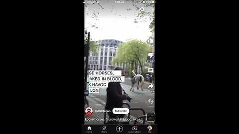 24/04/2024 2 horses in London : black and white ( white one covered in blood?): 4 soldiers