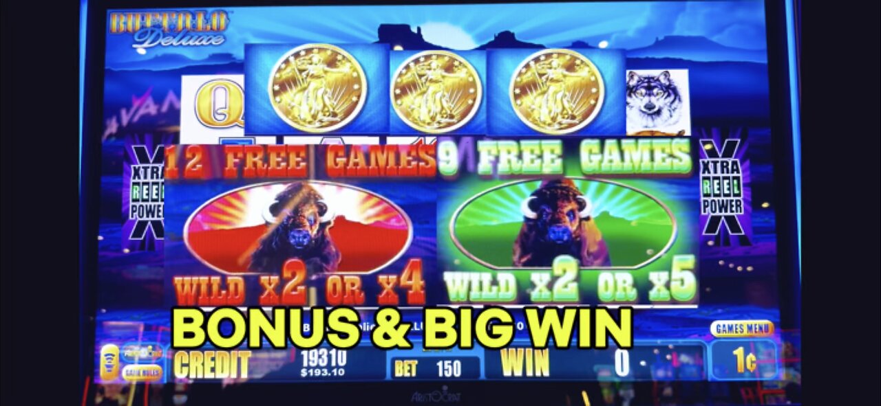 Buffalo deluxe slot machine bonus!! Big win 🦜