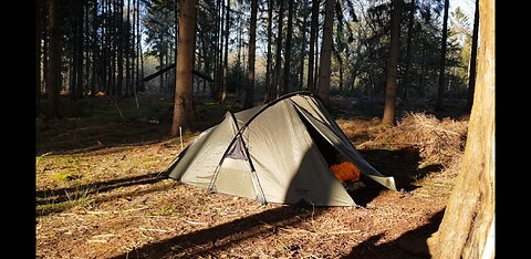 Night Vlog in the in the tent. Woodland camping 19th Jan 2022