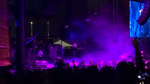 Stone Temple Pilots Live 2019 Plush?