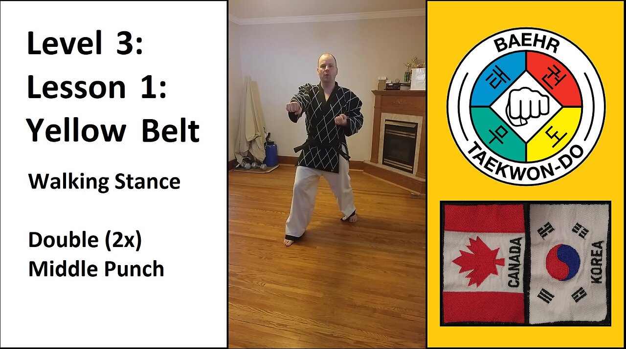 Baehr Taekwondo: Lesson 03-01: Yellow Belt: Walking Stance - Double Middle Punch