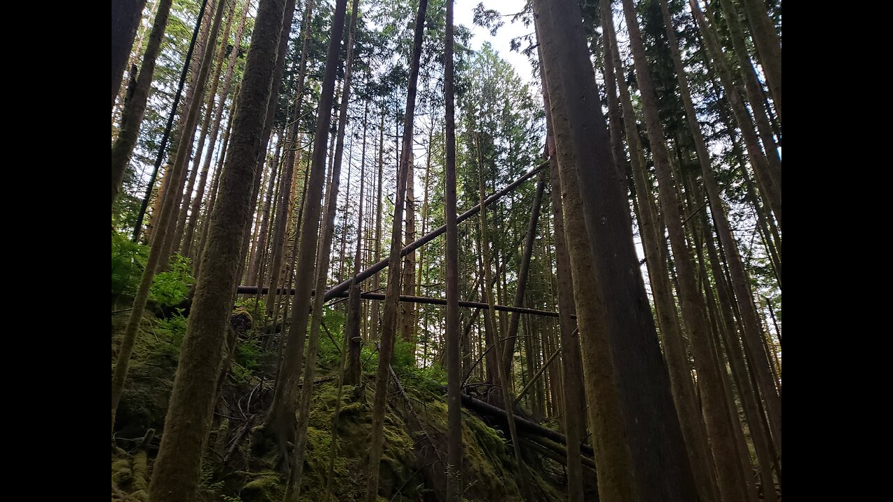 Nighttime quad ride through a trail system in the southern BC interior.