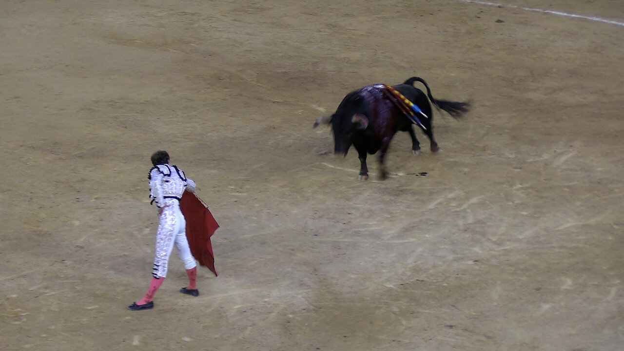 2024 07 21 VALENCIA CORRIDA DE TOROS SANTIAGO DOMECQ