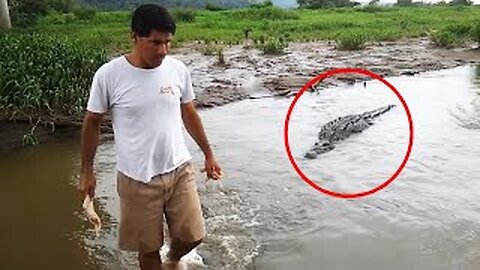 30 scariest crocodile encounters of the year