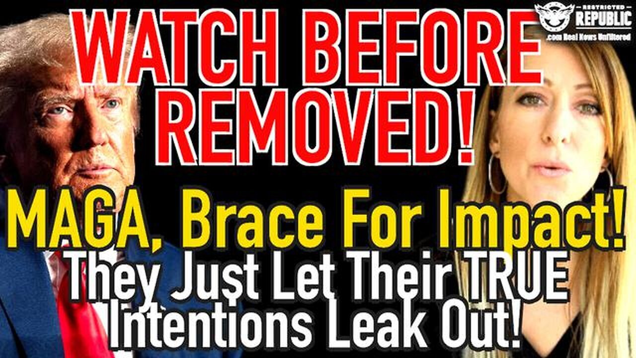 Democrats Intentions Now Clear - Maga, Brace For Impact - They Just Let It All Leak Out