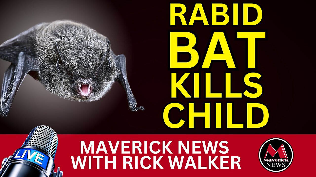 Rabid Bat Kills Child | Taylor Swift Guitar Smash Triggers Fans | Maverick News Top Stories