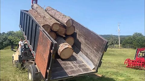 Look At What Showed Up At My Sawmill!Not What I Was Expecting