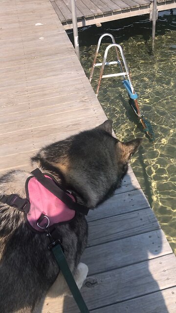 Thursday Oct 3, When your endurance is fully developed