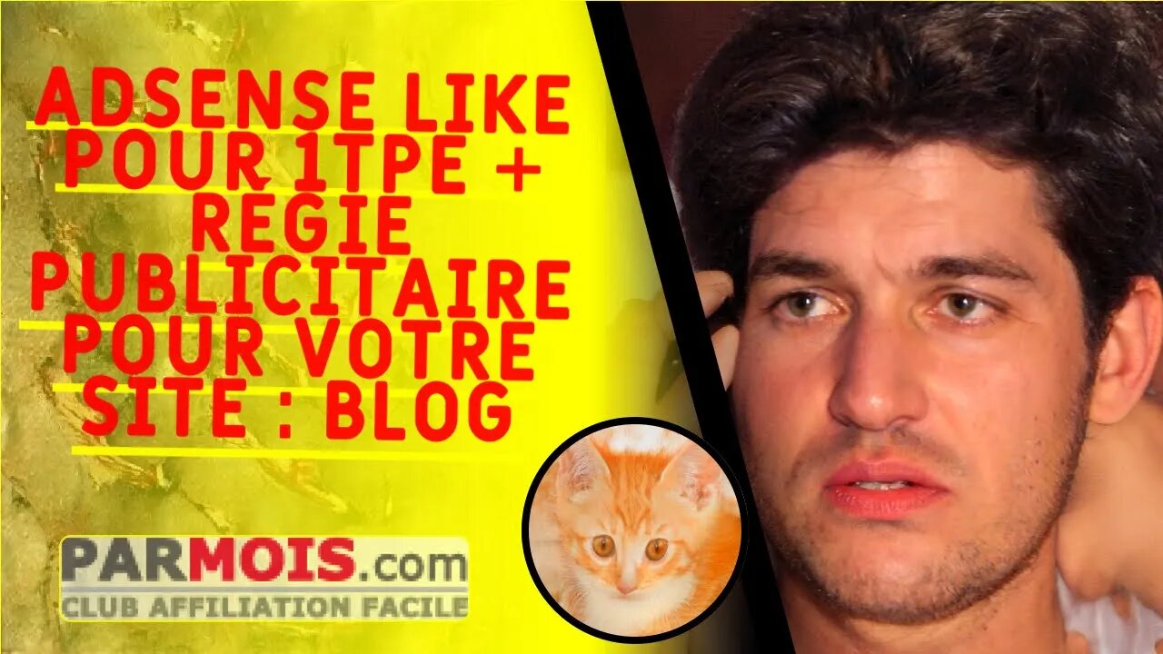 Adsense like pour 1TPE + régie publicitaire pour votre site : blog