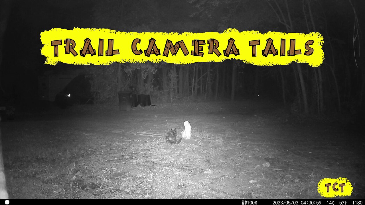 Trail Camera Tails Vol. 1