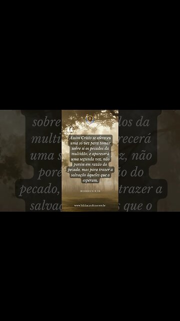 Hebreus 9,28 - Assim Cristo se ofereceu uma só vez para tomar sobre si os pecados da multidão, e...
