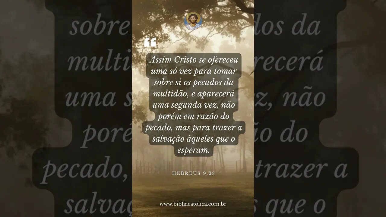 Hebreus 9,28 - Assim Cristo se ofereceu uma só vez para tomar sobre si os pecados da multidão, e...